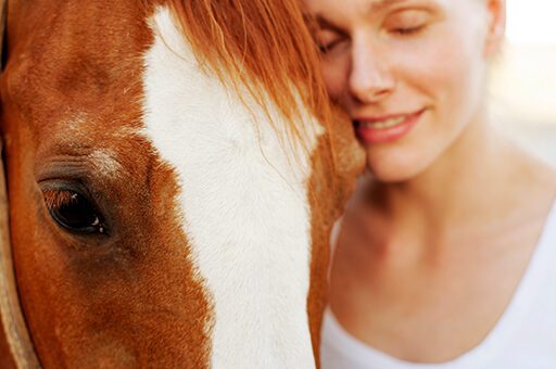 Die Mondblindheit ist eine entzündliche Augenerkrankung, bei der das Pferd sogar erblinden kann.