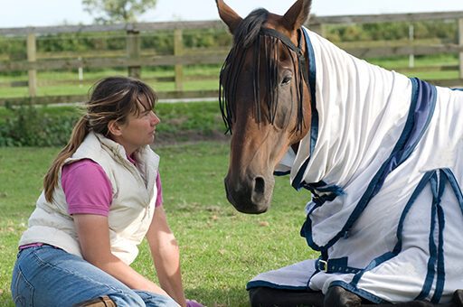 Das Sommerekzem lässt sich gut mit Medikamenten und speziellen Ekzemerdecken in den Griff bekommen.