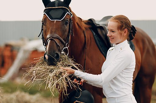 Einen Hufbeinbruch kann sich leider jedes Pferd zuziehen, unabhängig von Rasse, Alter und Trainingszustand.