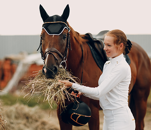 Hufbeinbruch beim Pferd: Was tun?