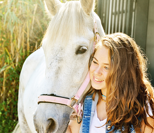 Nesselfieber beim Pferd: Was tun?