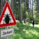 Die Borreliose beim Pferd wird hauptsächlich durch Zecken übertragen.