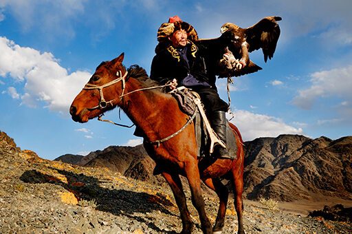 Die Japanische Enzephalitis beim Pferd kommt vor allem in Asien vor.