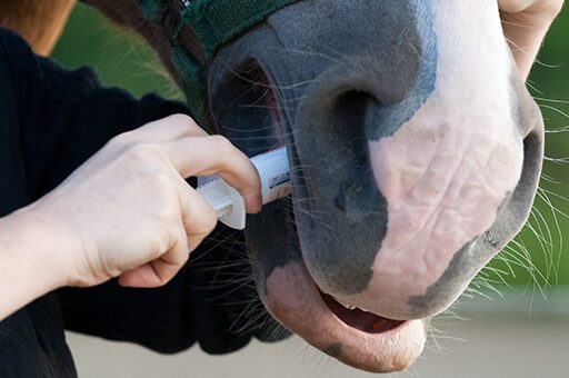 Die selektive Entwurmung überprüft, ob überhaupt eine Wurmkur notwendig ist.