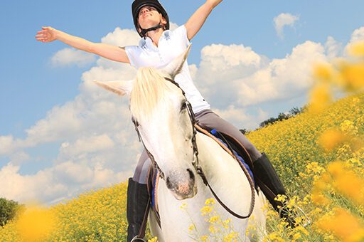 Die Pferdeenzephalomyelitis wird durch Mücken übertragen und ist daher im Sommer in Endemiegebieten ein Problem.