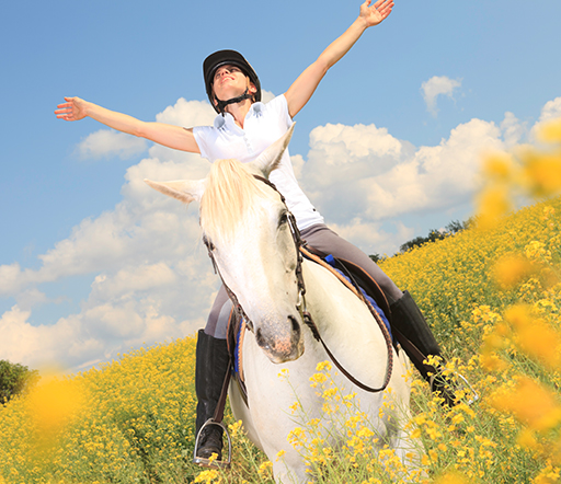 Pferdeenzephalomyelitis beim Pferd: Mehrere Formen der Erkrankung