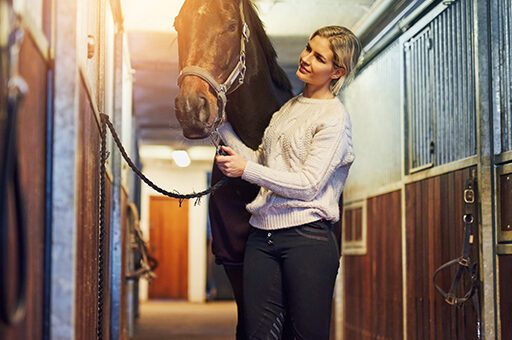 Die klassische Boxenhaltung mit Gittertüren ist ein häufiger Auslöser für das Weben beim Pferd.